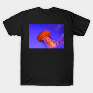 JELLYFISH GLOWING IN THE BLUE OCEAN DESIGN T-Shirt